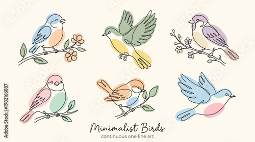 Colorful Birds Perched on Branches.