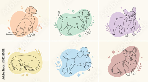 Colorful illustrations of different dog breeds.