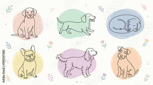 Cute dogs in different poses.