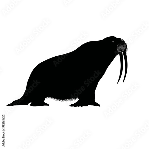 Black silhouette of a walrus standing.