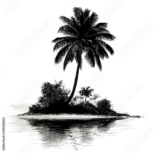 Black and white tropical island landscape.