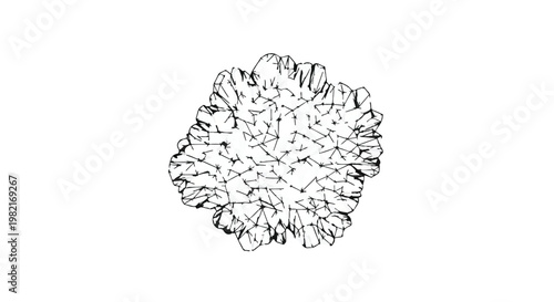 Tree top view renders a detailed botanical silhouette of a deciduous canopy in a flat, high-contrast black and white style suitable for architectural site plans and landscape design projects.