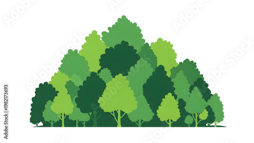 Green trees forest landscape nature scenery trees