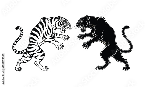 Tiger and Panther Face Off, Aggressive Stance, Wildlife Rivalry