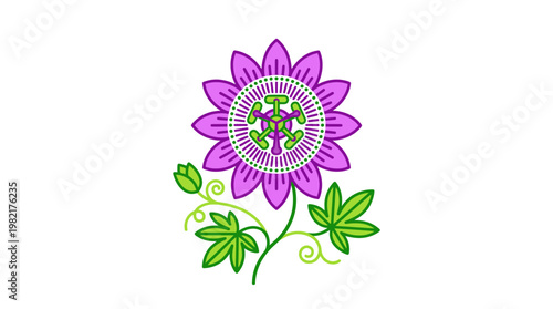 Vibrant Purple Flower with Green Leaves.