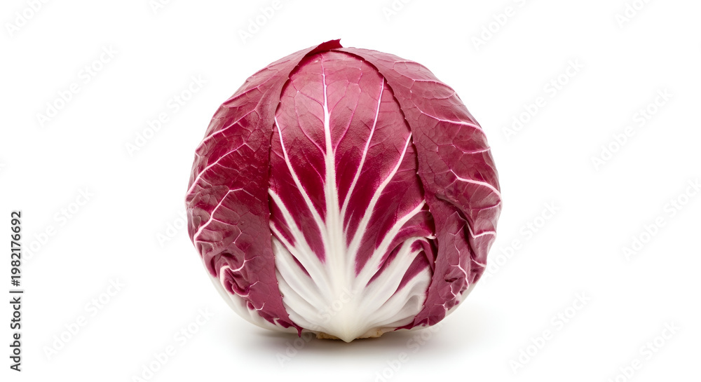 Obraz premium Fresh whole radicchio head with vibrant purple leaves and white veins isolated on a clean white background for culinary photography