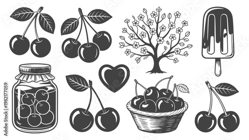 Vintage style cherry fruit collection with tree and popsicle illustration for food and beverage branding