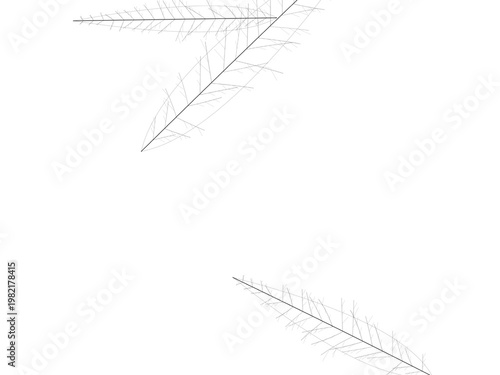 Leaf Vein Branch Pattern Natural Eco Design Backdrop