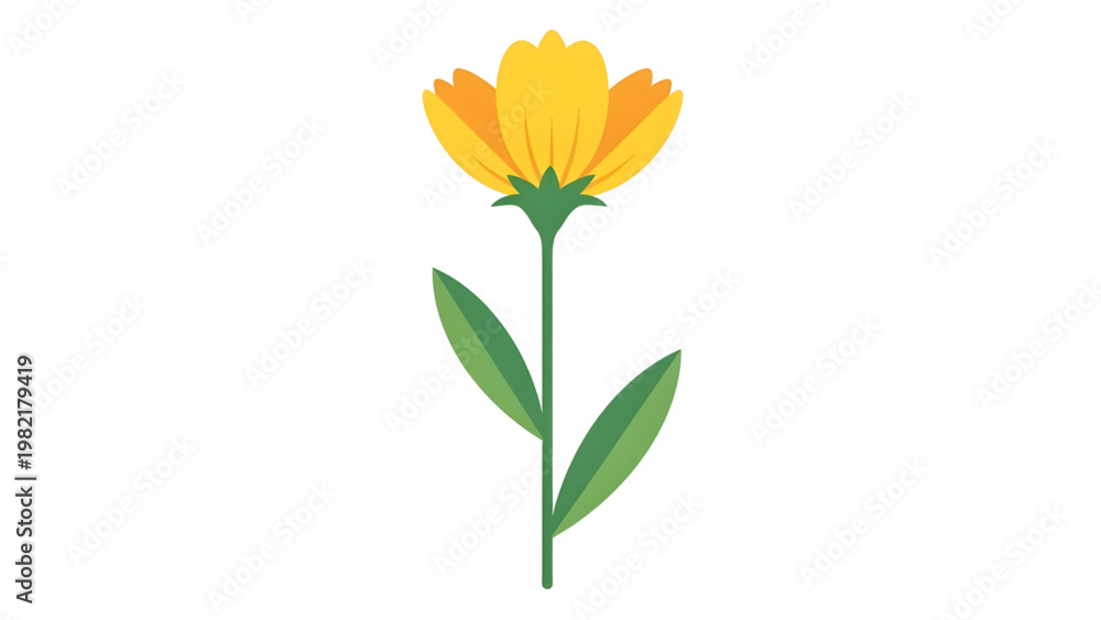 Fototapeta premium Yellow Flower with Green Leaves on White Background