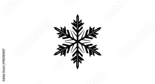 Snowflake appears as a detailed geometric black silhouette centered on a plain white backdrop.
