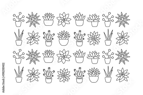 Succulent plant icon set indoor garden collection design
