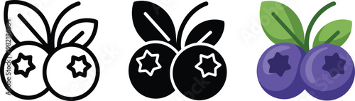 Blueberry Fruit Icons, Fresh Organic Berry Symbols in Black White and Purple Styles.