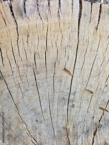 old wood texture