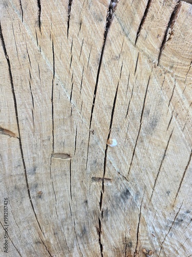 wood texture background