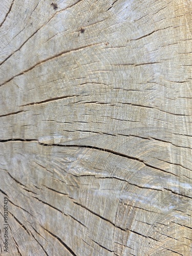 old wood texture