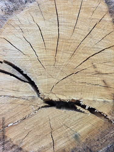 old wood texture