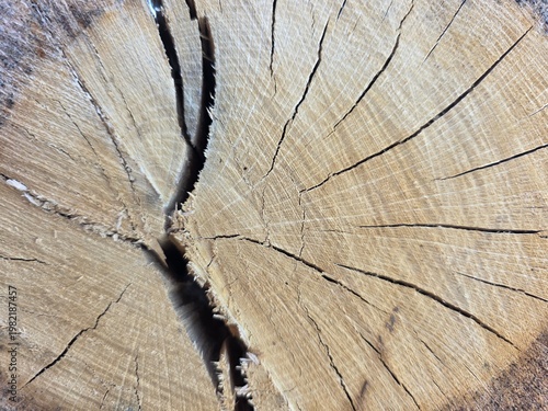 old wood texture