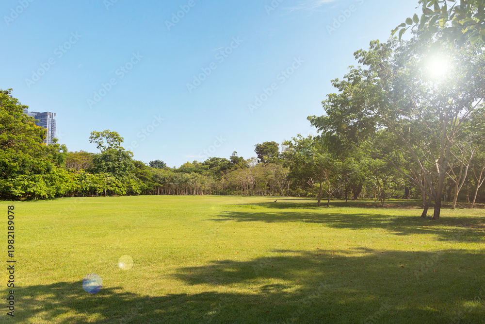Fototapeta premium Sunny green park with open lawn and sunlight through trees. Bright sun flare over peaceful grass field in urban park