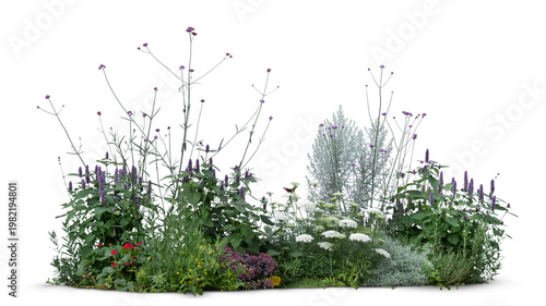 Valokuva Group of miscellaneous plants and flowers in a group, isolated on white and tran