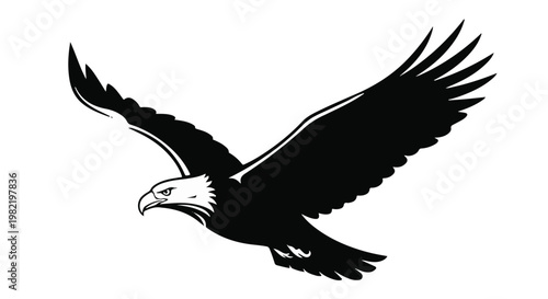Eagle in flight captures the majestic silhouette of a powerful bird of prey soaring through the sky with wings fully extended to symbolize strength, freedom, nature, and wild animal grace.