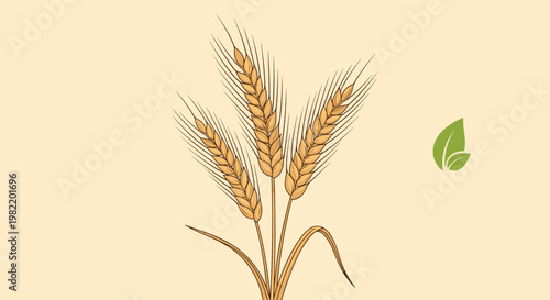 Golden ears of wheat shown in detail with a small green leaf on the side against a soft beige background for natural grain and health.