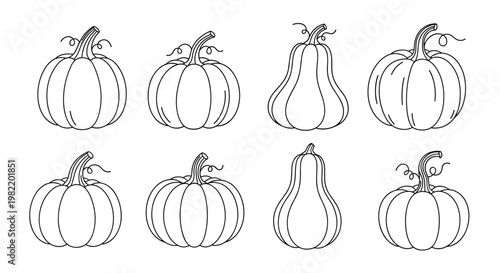 Set of eight different pumpkin and gourd line art drawings for autumn harvest thanksgiving and halloween seasonal decorations.