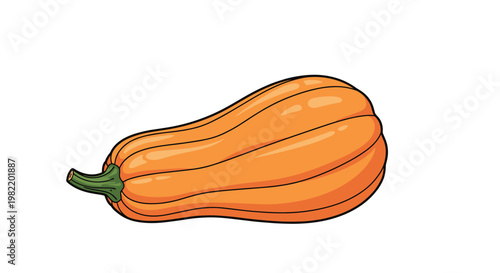 Ripe orange butternut squash illustration with a green stem isolated on a plain white background for culinary and harvest concepts.