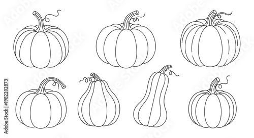 Selection of various pumpkin and squash line art sketches featuring different shapes and sizes for autumn harvest festivals and Thanksgiving decorations.