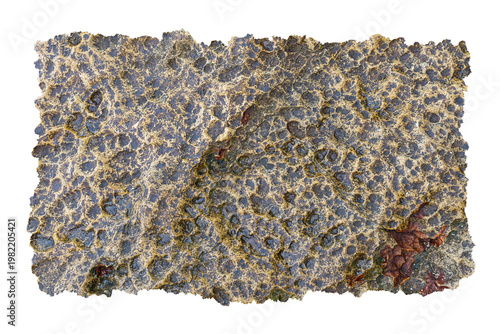 Coral Rock Texture Natural Rough Surface Abstract Background Marine Pattern with Rough Torn Edges