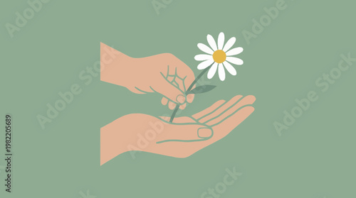 A gentle hand offers a delicate white daisy with a yellow center to another open palm against a muted green background.