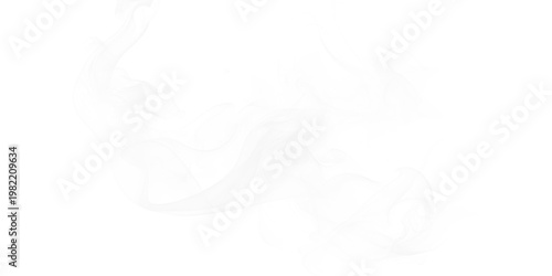 Картината върху платно White ethereal smoke swirls gracefully against a deep black background creating