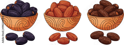 Dates Fruit Collection in Wooden Bowls with Different Varieties Dried Sweet Food Illustration Set for Ramadan Nutrition and Organic Snack Design