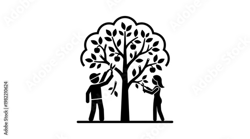 People Harvesting Apples from a Tree