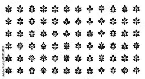 Collection of various snowflake designs.