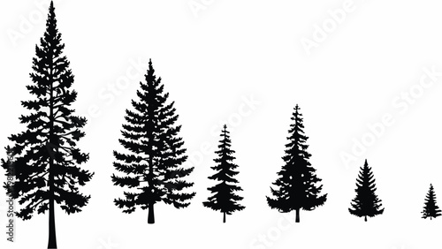 Tableau sur toile A series of coniferous trees diminishing in size silhouetted in black