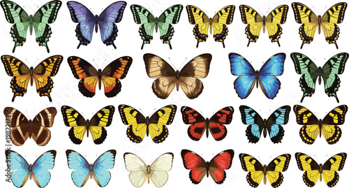 Colorful Butterfly Vector Set with Different Species and Vibrant Patterns for Nature, Insect, and Wildlife Illustration Designs