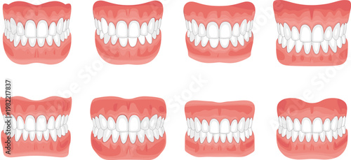 Set of human teeth and gums variations, dental anatomy collection, different bite positions, oral healthcare concept vector illustration