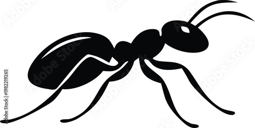 Minimalist ant silhouette black and white vector