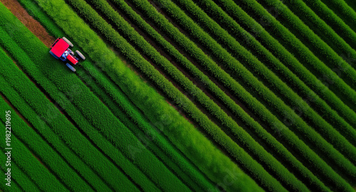 Aerial view of green agricultural field with tractor working in parallel crop rows creating geometric pattern and vibrant texture under natural light. Concept of modern farming and cultivation