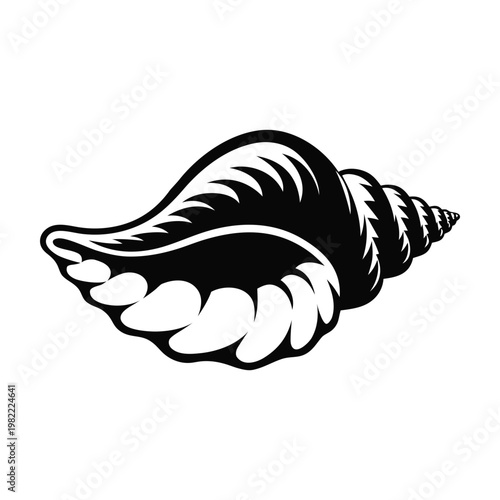 black and white conch shell vector illustration