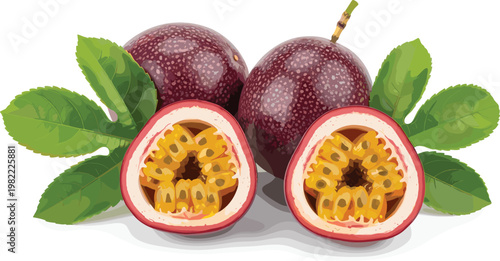 Vector Set of Fresh Passion Fruits with Leaves, Detailed Cut Open Fruit for Healthy Eating, Juices, and Tropical Designs
