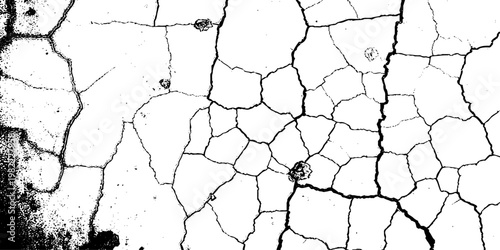  grunge texture of a cracked, weathered concrete wall in black and white monochrome. surface features intricate fracture patterns spreading organically across aged plaster.