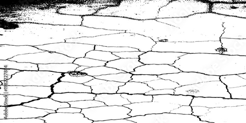  grunge texture of a cracked, weathered concrete wall in black and white monochrome. surface features intricate fracture patterns spreading organically across aged plaster.