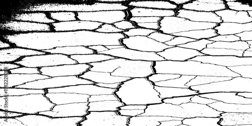  grunge texture of a cracked, weathered concrete wall in black and white monochrome. surface features intricate fracture patterns spreading organically across aged plaster.