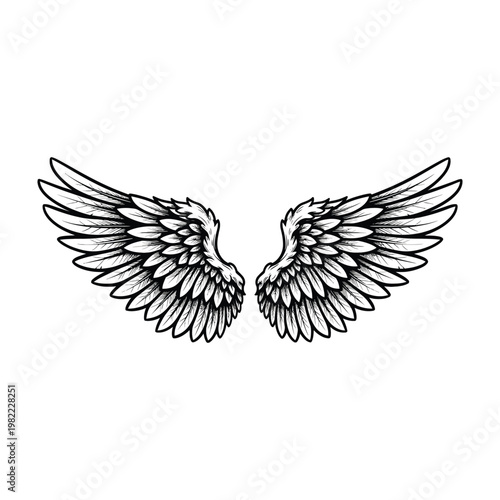 Pair of Detailed Angel Wings Hand Drawn Style Isolated on White Background for Tattoo Design Art