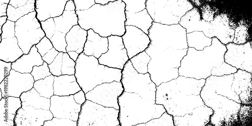  grunge texture of a cracked, weathered concrete wall in black and white monochrome. surface features intricate fracture patterns spreading organically across aged plaster.