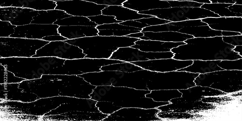  grunge texture of a cracked, weathered concrete wall in black and white monochrome. surface features intricate fracture patterns spreading organically across aged plaster.