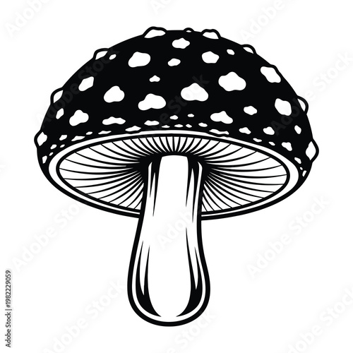 Amanita Muscaria Mushroom Line Art Icon Isolated on White Background for Decorative Design Use