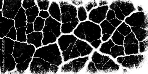  grunge texture of a cracked, weathered concrete wall in black and white monochrome. surface features intricate fracture patterns spreading organically across aged plaster.
