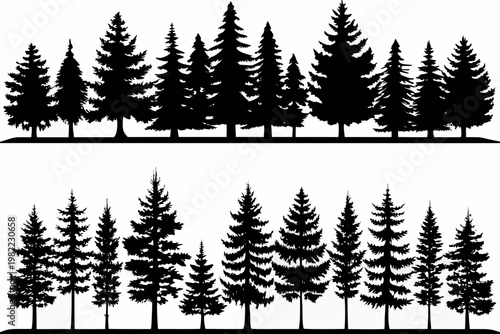 Silhouettes of evergreen trees against a white background in two rows